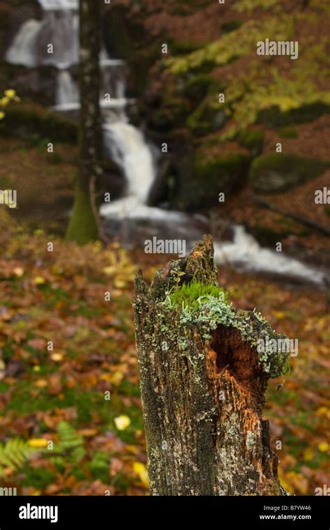 Waterfall On The Afon Elan Stock Photo - Alamy