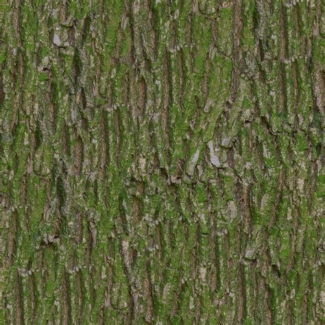 green moss, Bark, Moss, Texture, Albedo, tileable, base, color ...