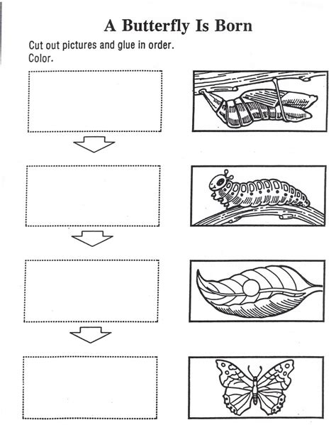 Free Life Cycle Of A Butterfly Printables - Printable Calendars AT A GLANCE