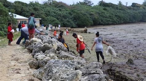 Coastal clean-up and coastal tree planting in Tonga | SPC-R2R