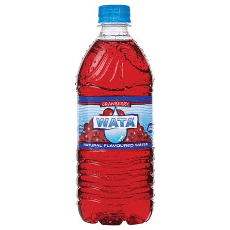 WATA CRANBERRY 600ML – Carib Import & Export Inc.