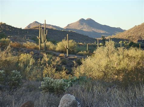 Cave Creek, Arizona