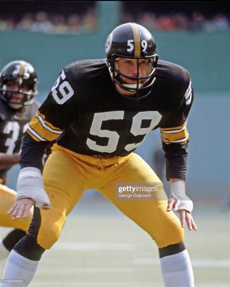 Linebacker Jack Ham of the Pittsburgh Steelers looks across the line... | Steelers, Pittsburgh ...