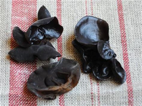 wood ear fungus - Nitty Grits