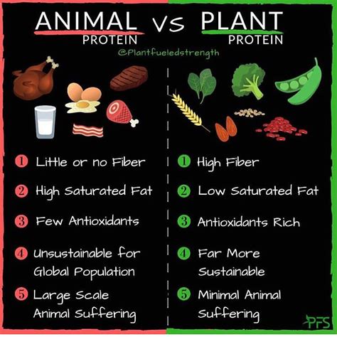 CalorieChat - Animal Protein VS Plant Protein! 🌱Follow...