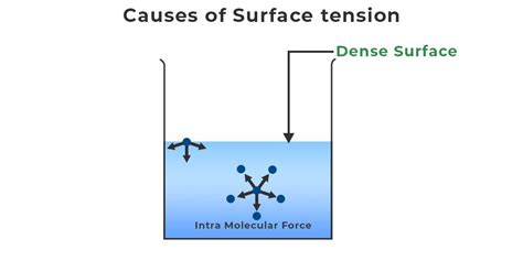 Surface Tension - Definition, Formula, Causes, Examples, and FAQs