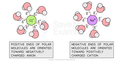 Ion-Dipole Interactions | College Board AP Chemistry Revision Notes 2022