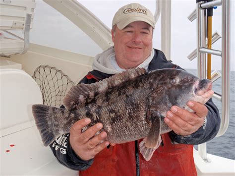 Weekend Tautog Fishing Report - February 09, 2014 | FISHTRACK.COM