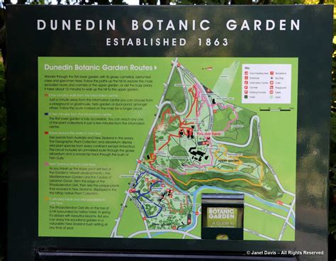 Dunedin Botanic Garden | Janet Davis Explores Colour