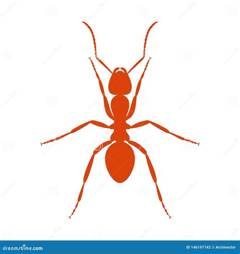 Sign red ant close up stock vector. Illustration of logo - 146197742