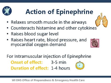 Anaphylaxis IM Epinephrine Administration by the WI EMR