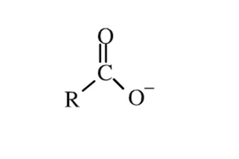 Functional Groups