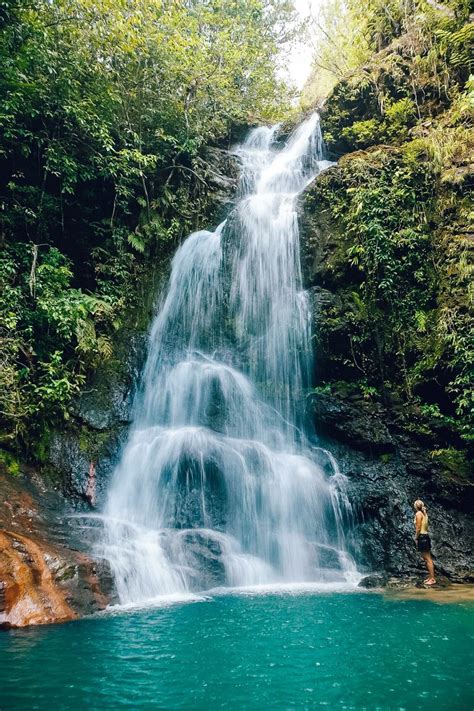 10 Belize Waterfalls Worth Chasing | Belize travel, Belize vacations ...