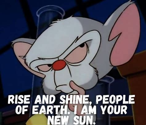 Best 69 Pinky and The Brain Quotes - Cartoon - NSF News and Magazine