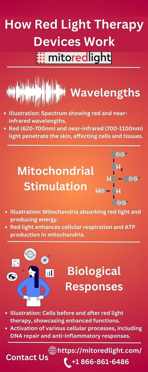 How Red Light Therapy Devices Work | Mito Red Light - ImgVB