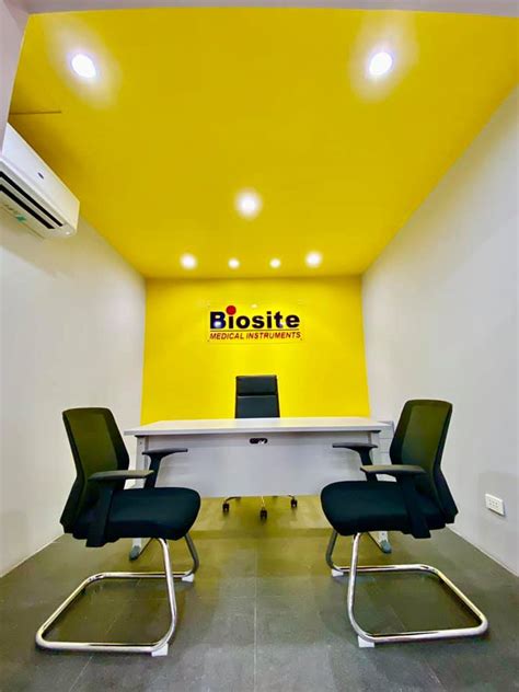 Biosite Medical... - Biosite Medical Instruments, Inc.