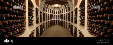 Old wine cellar Stock Photo - Alamy