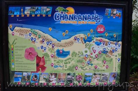 Chankanaab National Park: A Family Getaway in Cozumel - test