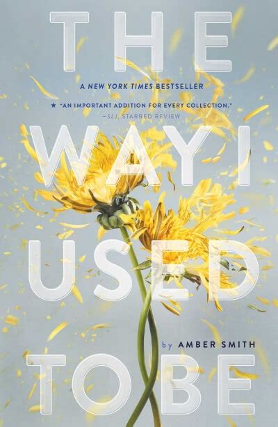 The Way I Used to Be By Amber Smith - Book Summary