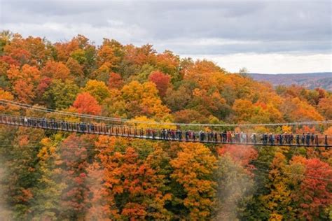 SkyBridge Michigan, world’s longest timber-towered suspension bridge ...