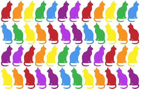 Colorful Cats Wallpaper Background Free Stock Photo - Public Domain Pictures