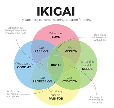 Ikigai - 361°