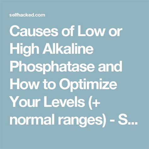 Causes of Low or High Alkaline Phosphatase and How to Optimize Your ...