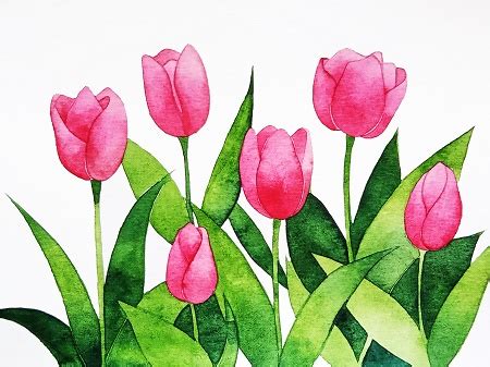 Cách vẽ hoa tulip dễ như ăn kẹo, cho người mới bắt đầu