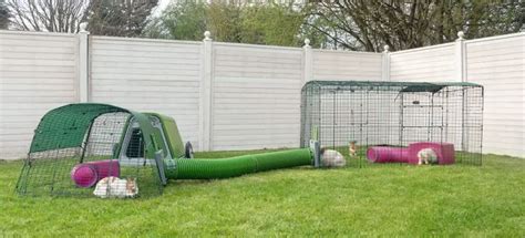 Best Outdoor Rabbit Run | Buyers Guide and Review | Hutch and Cage