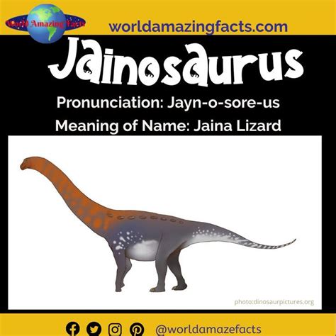 The a z list of dinosaur names and pictures – Artofit