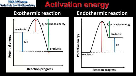 R2.2.4 Activation energy - YouTube