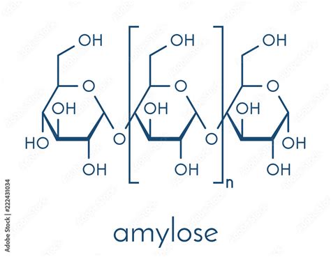 Amylose polysaccharide polymer, chemical structure. Component of starch (in addition to ...