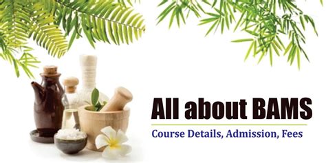 All about BAMS: Course Details, Admission, Fees