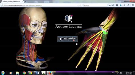 Impresionante Novelista Superioridad anatomia 3d gratis para pc ...