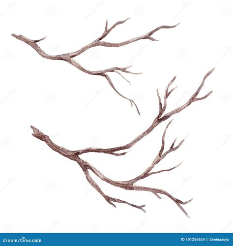 Watercolor Fall Tree Branch Stock Illustration - Illustration of leaves ...