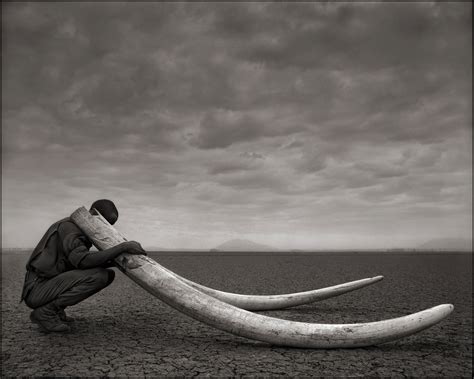 Nick Brandt | The Independent Photographer