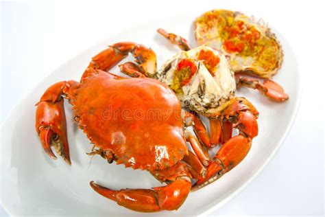 Steamed Crab stock image. Image of seafoods, seafood - 19795533