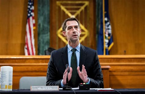 Will Tom Cotton Run for President in 2024? | The National Interest