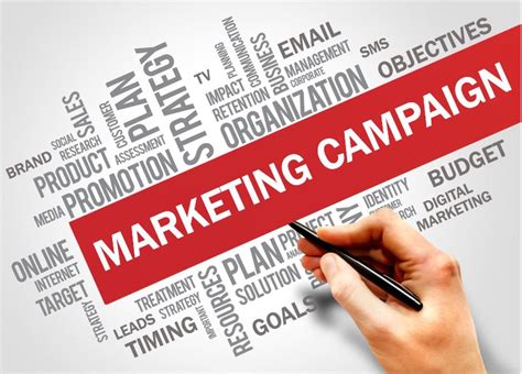 How Do Get the Most Out of Your Marketing Efforts - IIMP Newsletter