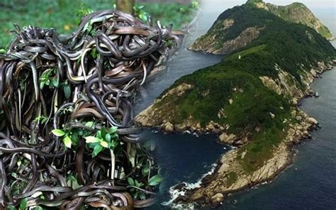 World's Most Dangerous Islands – Top 8 List (Updated: 2023) - Ultimate Topics