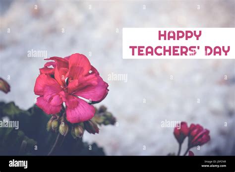 Teachers Day Flower