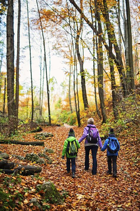 Fall Activities For Kids In Nh