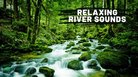 Relaxing River Sounds, Water Flow | Natural Peaceful Water Sound for Sleep & Relax | Waterfall ...