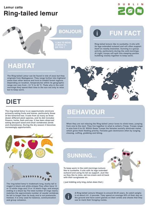 Zoo Infographic signage on Behance | Zoo signage, Animals information, Animal facts for kids