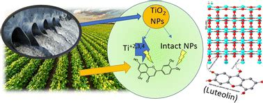 Environmental exposure and nanotoxicity of titanium dioxide nanoparticles in irrigation water ...