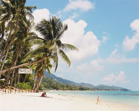 Here's Why You Should Visit Pig Island in Koh Samui - Traveler Master