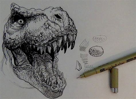 How to draw a simple t rex - nuvsa
