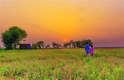 Beautiful view of sunset in Sialkot - Pakistan. follow @dquocbuu if you love it | Punjab, Sunset ...