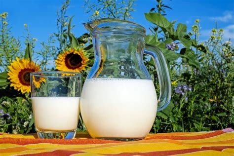 Does Milk Actually Make Your Bones Stronger? - BioFitTips