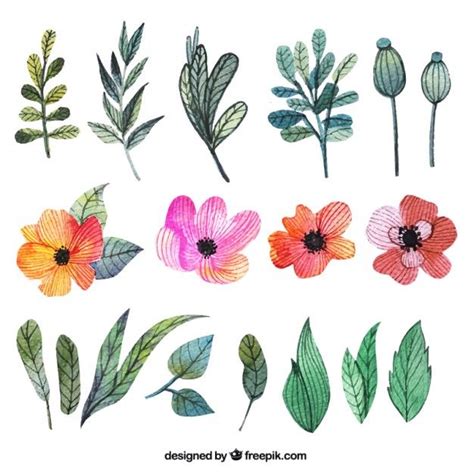 Free Vector | Watercolor flowers and leaves | Leaf drawing, Vector ...